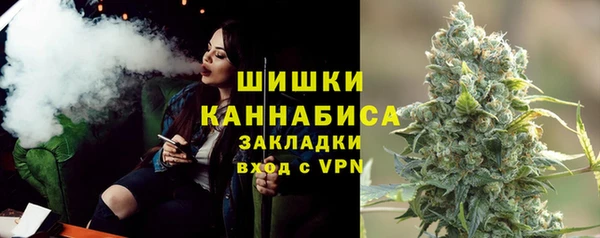 ГАЛЛЮЦИНОГЕННЫЕ ГРИБЫ Медвежьегорск